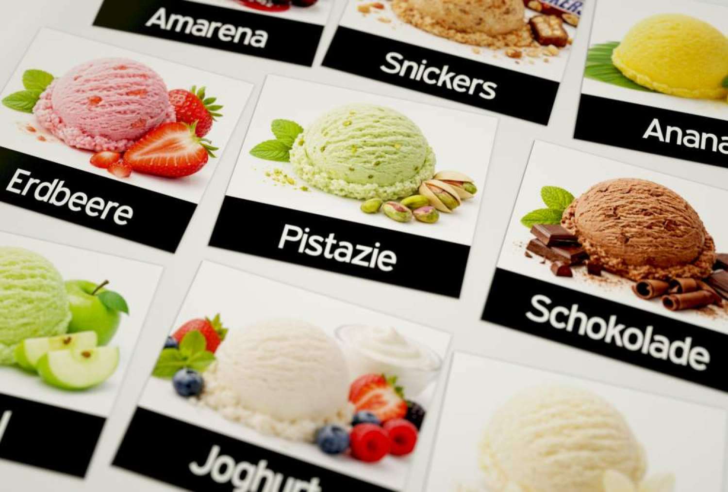 40 XL Magnetschilder mit Bild 