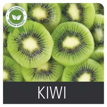 Kiwi 21 x 21 